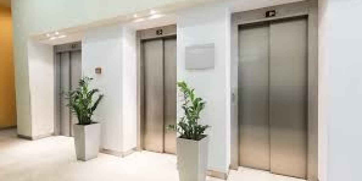 Two-Person Home Elevators: Enhancing Luxury & Accessibility in Delhi Homes