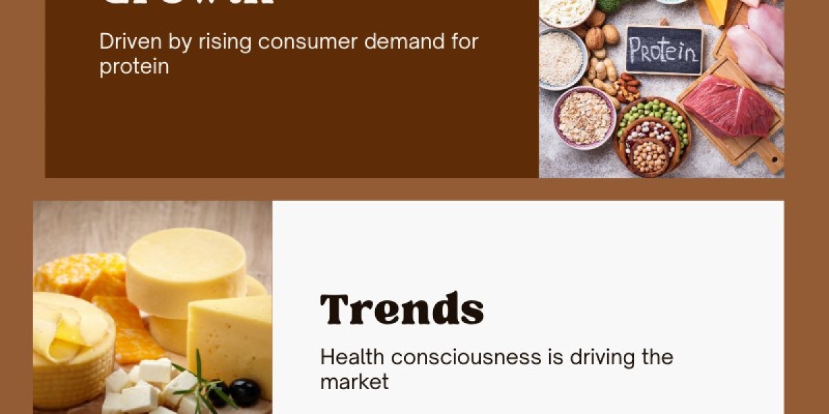 Protein Ingredients Market Companies Insights 2025-2033| Growth & Opportunity Analysis