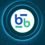 Bitbse Exchange Profile Picture