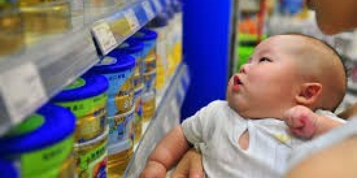 China Baby Food Market  Companies Insights 2025-2033| Growth & Opportunity Analysis