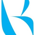Kandisa Technologies Salesforce consulting partners Profile Picture