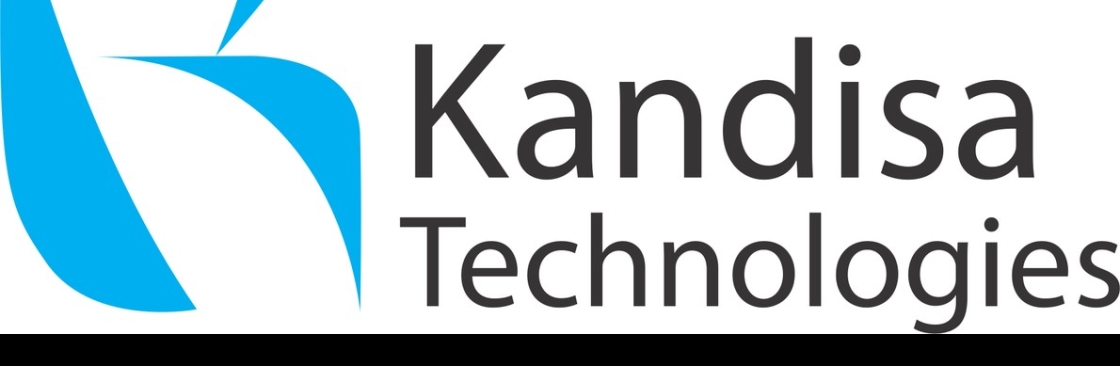 Kandisa Technologies Salesforce consulting partners Cover Image