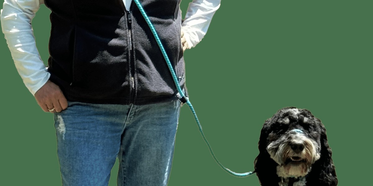 Tired of Tug-of-War Dog Walks? This Leash Could Be the Game-Changer You’ve Been Waiting For