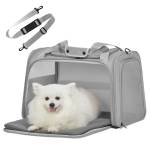 dog carrier Profile Picture