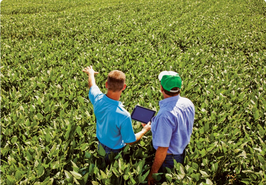 Agricultural Law Assignment Writing - Sowing the Seeds Of Legal Excellence - owntacit